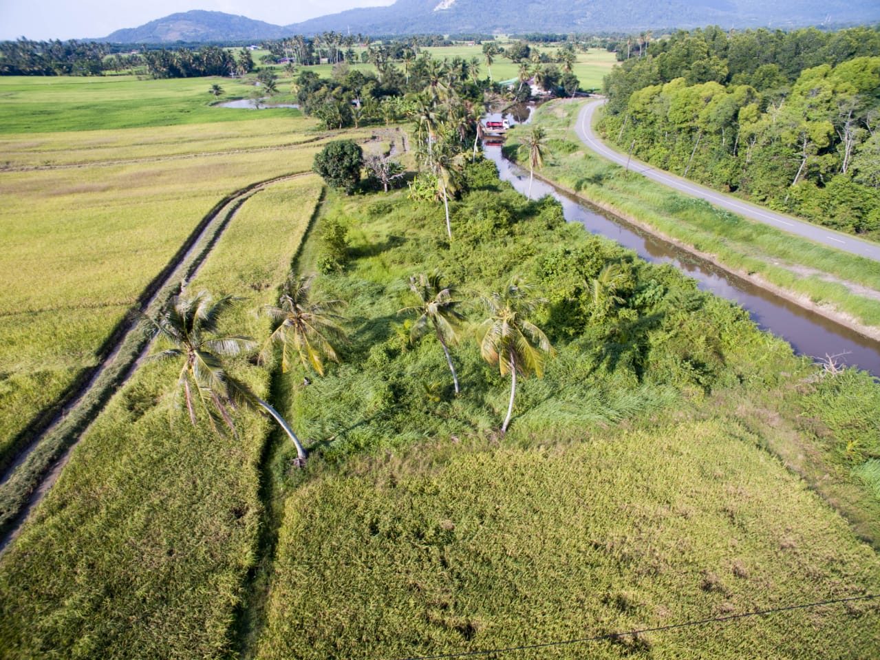 Tanah Bendang 5 Relung Merbok Kedah Freehold