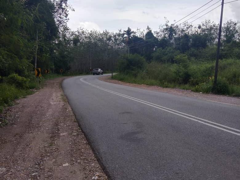 Tanah Dusun 3.10 Ekar Derang Pokok Sena Kedah Freehold International Lot