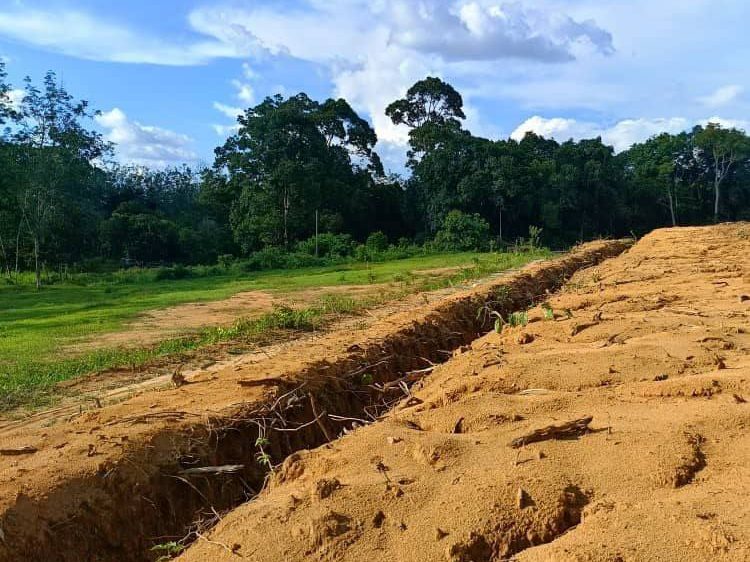 Tanah Pertanian 0.99 Ekar Bikan Kulim Kedah Freehold