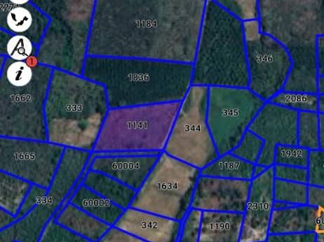 Tanah Pertanian 4 Relong Kg Bukit Nyamuk Kuala Nerang Kedah Freehold