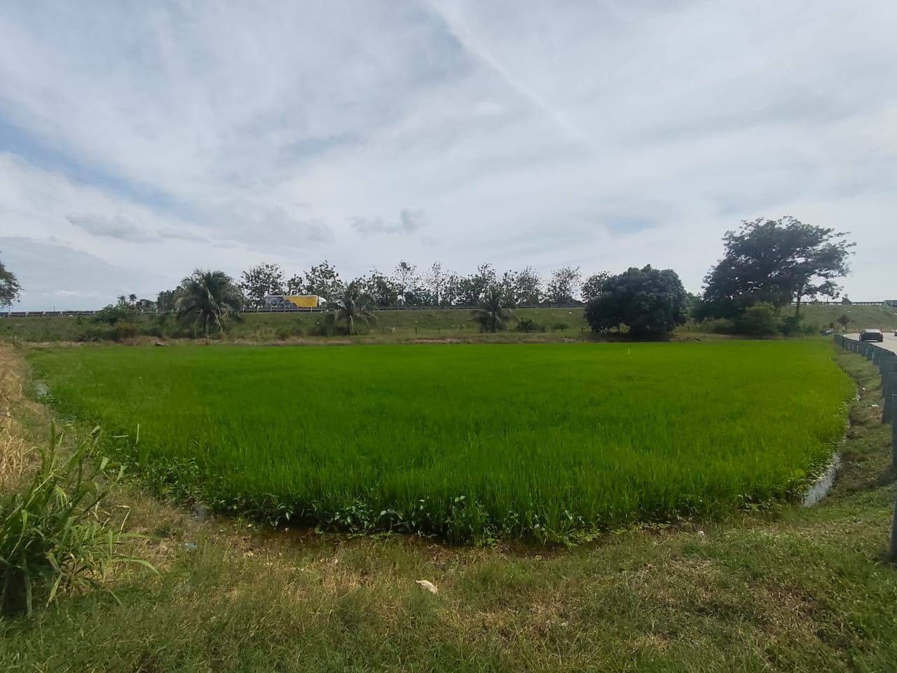 Tanah Pembangunan 21,301 Kaki Persegi Jalan Seri Serdang Kepala Batas Pulau Pinang Freehold
