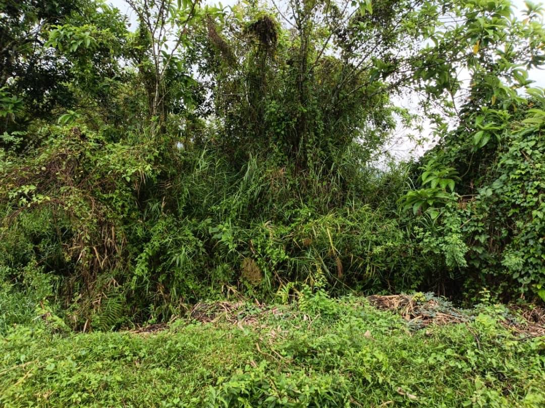 Tanah 3,628 Meter Persegi Permatang Pasir Balik Pulau Penang Freehold