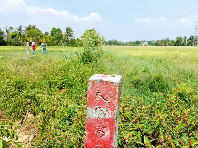Tanah Bendang 3.3 Ekar Sungai Jagong Sungai Petani Kedah Freehold