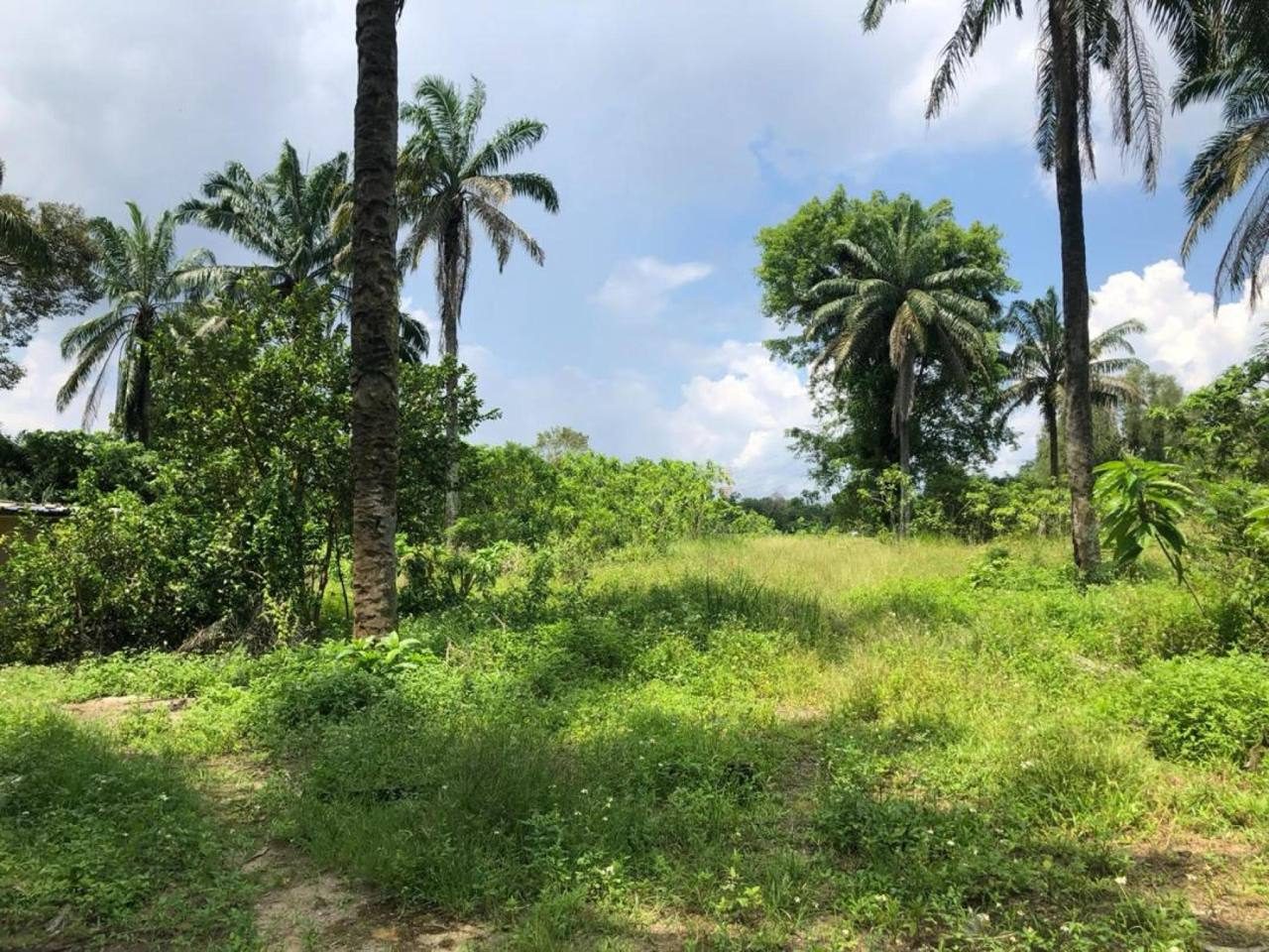 š” FOR SALE ā Tanah Murah Sebelah Putrajaya @ Bukit Damar, Dengkil