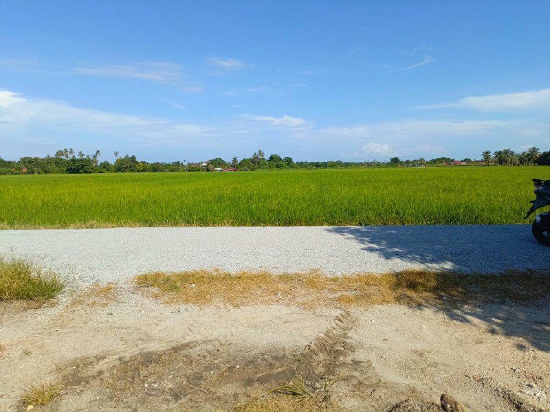 Tanah Lot 2,000 Kaki Persegi Sungai Burung Balik Pulau Penang Freehold