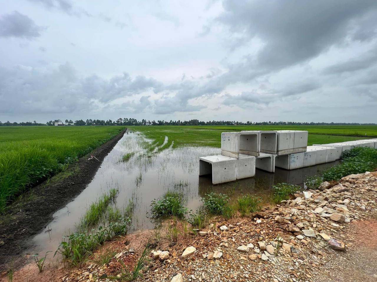 Tanah Bendang 2.089 Ekar Sungai Daun Dalam Yan Kedah Freehold