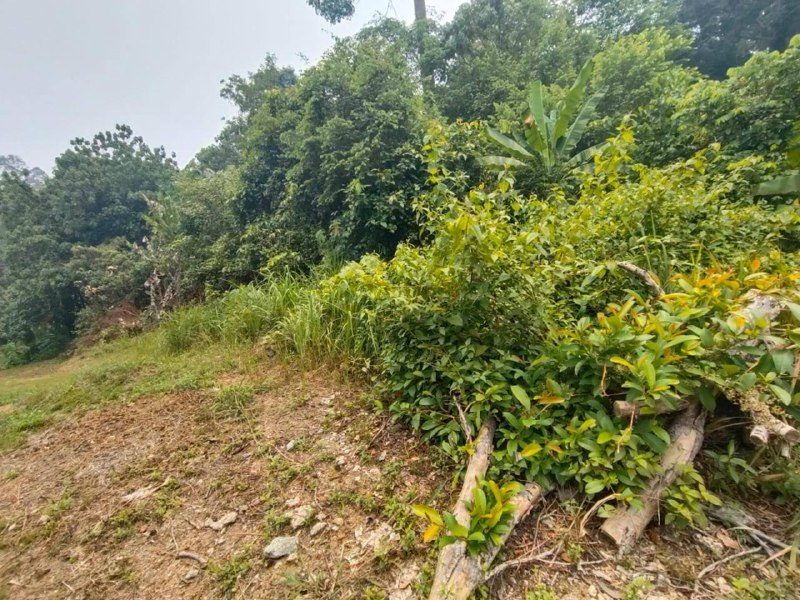 Tanah Lot Banglo 6,375 Kaki Persegi College Heights Pajam Nilai Freehold