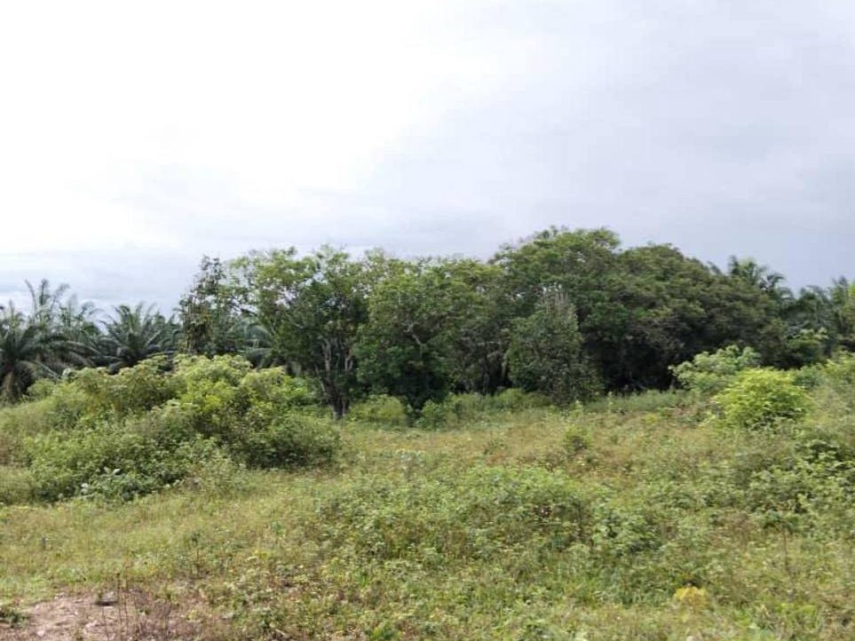 Tanah Lot Banglo RTP Bukit Goh Kotasas Kuantan Pahang 5,758 Sqft Freehold