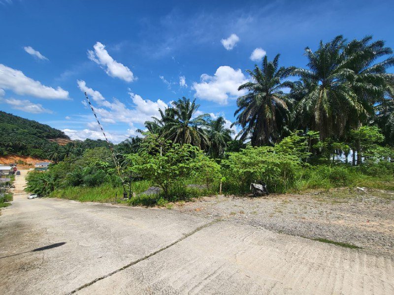 Tanah Pertanian 1.109 Ekar Lorong Setia 3 Kuang Sungai Buloh Selangor Freehold