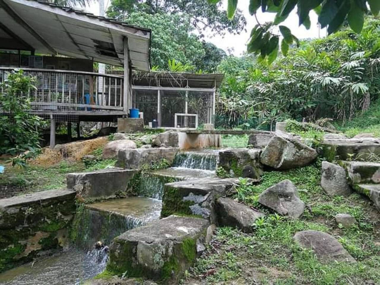 Tanah End Lot Janda Baik Bentong Pahang 1.9 Ekar