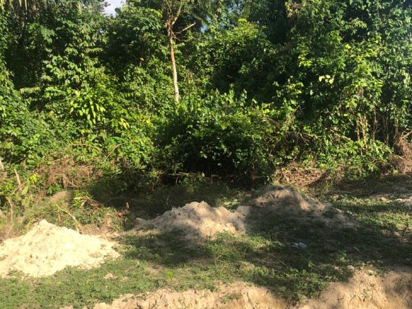 Tanah Pembangunan 8 Ekar Sungai Buah Bangi Selangor Freehold Geran Individu