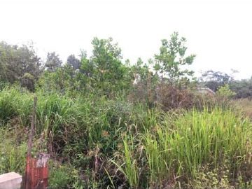 Lot Banglo Untuk Dijual Di Sri Damai Kuantan Pahang