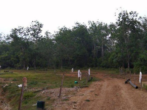 Tanah Pertanian 4.75 Ekar Kampung Tanjung Berangan Chenor Maran Pahang Malay Reserve