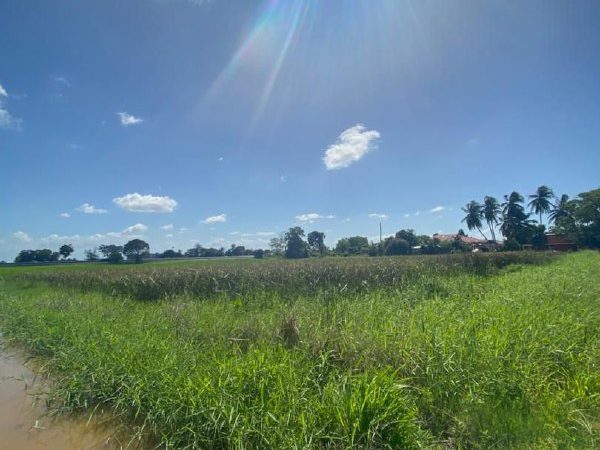 Tanah 90,000 Kaki Persegi Tepi Highway Bandar Alor Setar Kota Setar Kedah Freehold