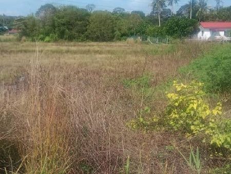 Tanah Untuk Dijual 1 Ekar Lebih Di Paya Sum Tangga Batu Sungai Udang Melaka