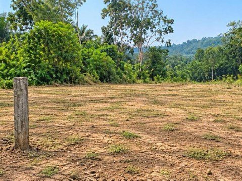 Tanah 3.2 Ekar Tanah Rata Jalan Bukit Cherakah Kapar Selangor