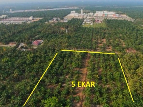 Tanah Pertanian 5.16 Ekar Freehold Berhampiran Hospital Tanjung Karang Selangor