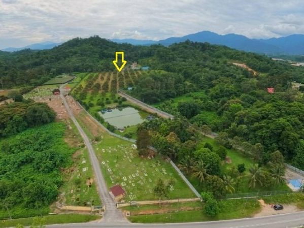 Tanah Dusun 6 Ekar Freehold Sungai Penas Batang Kali Hulu Selangor Musang King Duri Hitam