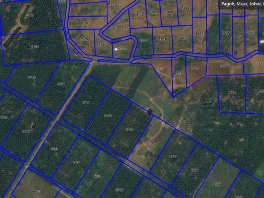 Tanah Dusun Durian 5 Ekar Freehold Rezab Melayu MusangKing & Duri Hitam Pagoh Johor
