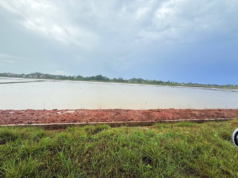 Tanah sawah First Grade di Kepala Batas untuk dijual