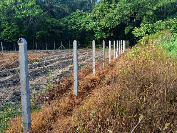 Tanah lot First Grade di Kubang Menerong untuk dijual