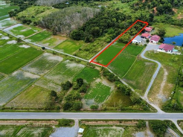 TANAH PERTANIAN REZAB MELAYU UNTUK DIJUAL – BESERI, PERLIS