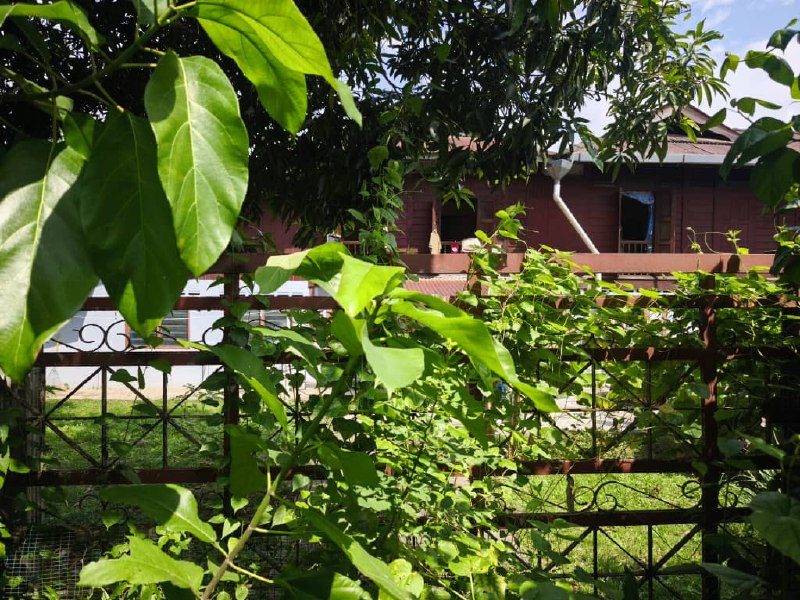 Tanah untuk dijual di Pekan Langgar, Alor Setar