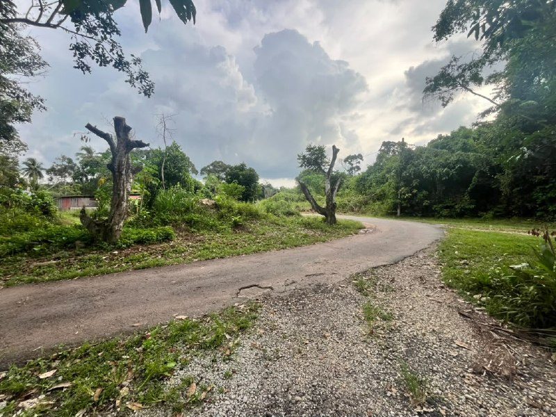 TANAH 4.9 EKAR | FREEHOLD | TASEK GELUGOR, PENANG