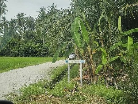TANAH LUAS untuk dijual di SUNGAI ACHEH Nibong Tebal