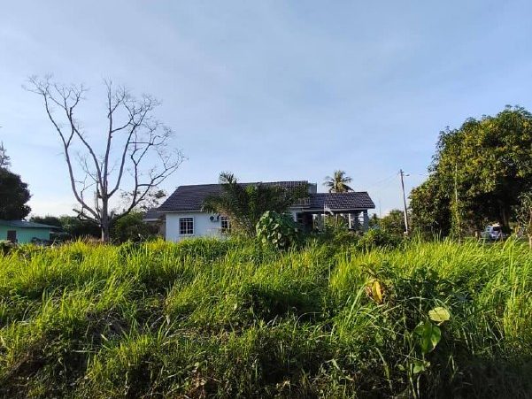 Tanah Pertanian 3,921 Kaki Persegi Freehold Geran Kongsi First Grade Pokok Sena Kepala Batas Pulau Pinang