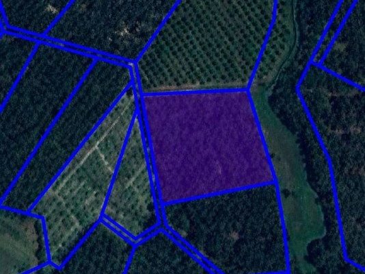 Tanah 3 Ekar Changkat Petai Batang Padang Perak Freehold Geran Individu