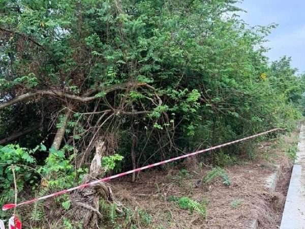 Tanah Kediaman 4,585 Kaki Persegi Kg Labu Lanjut Sepang