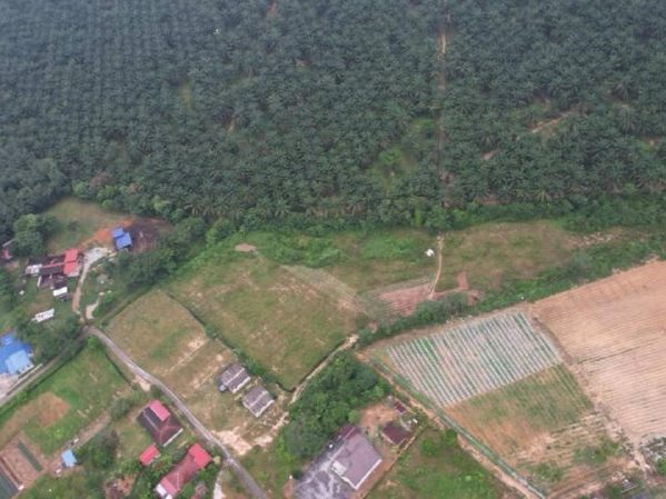 Tanah Pertanian 1.5 Ekar Durian Tunggal Labu Seremban Freehold