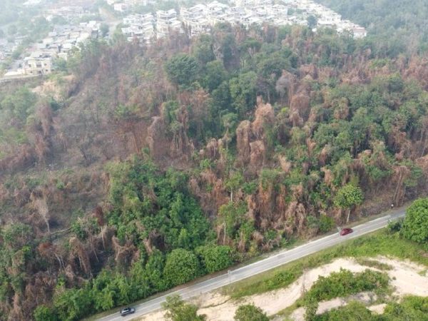 Tanah Pertanian 2.875 Ekar Kg Giching Salak Tinggi Sepang Freehold