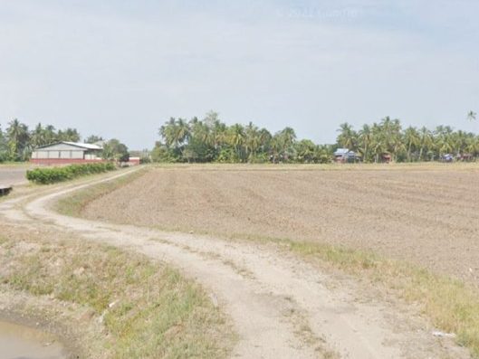 Tanah Pertanian 2 Ekar Freehold First Grade Kampung Penaga Dua Seberang Perai Utara Pulau Pinang