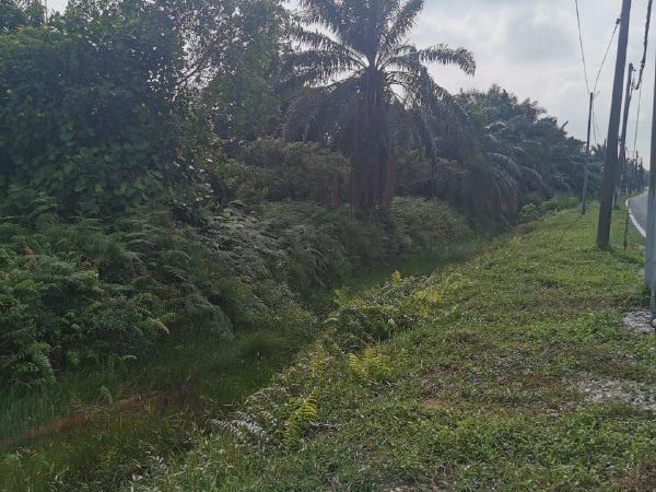 Tanah Pertanian 2.9 Ekar Olak Lempit Banting Selangor
