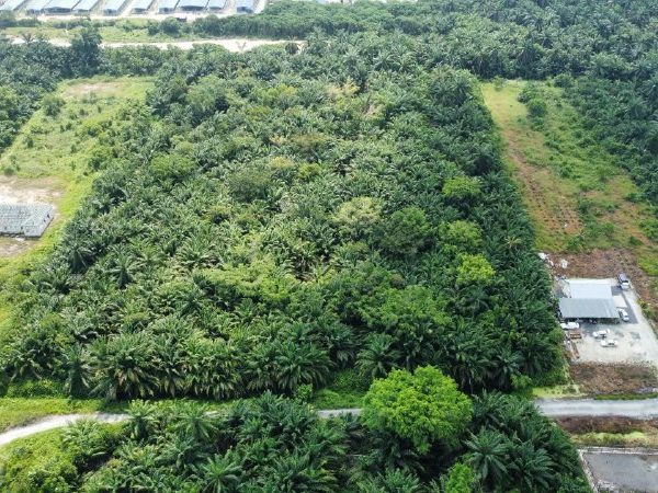 Tanah Pertanian 2.37 Ekar Untuk Dijual Jalan Seri Cheeding Jenjarom Selangor