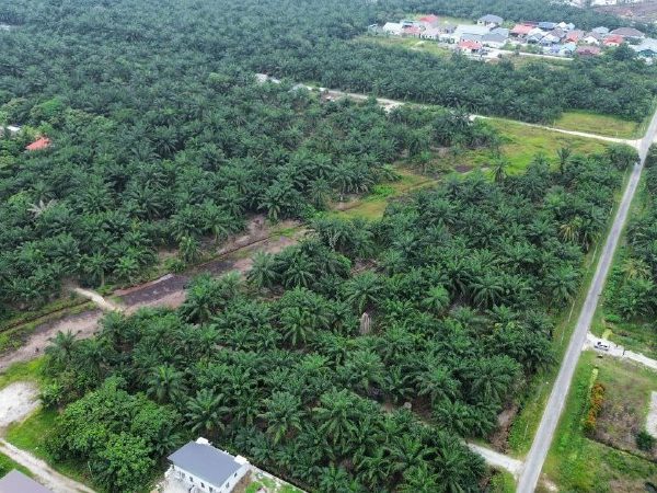 Tanah Pertanian 1.96 Ekar Kampung Jenjarom Kuala Langat Selangor