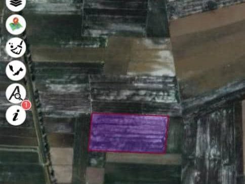 Tanah Bendang 6.18 Relong Mukim Naga Jitra Kubang Pasu Kedah Freehold