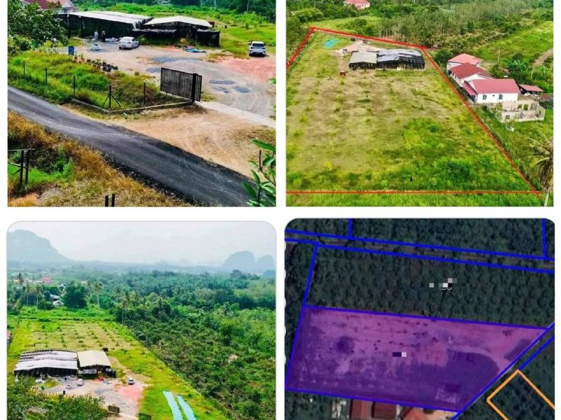 Tanah Pertanian 0.81 Hektar Freehold Dengan Rumah Hijau Di Kubang Perun, Chuping, Perlis