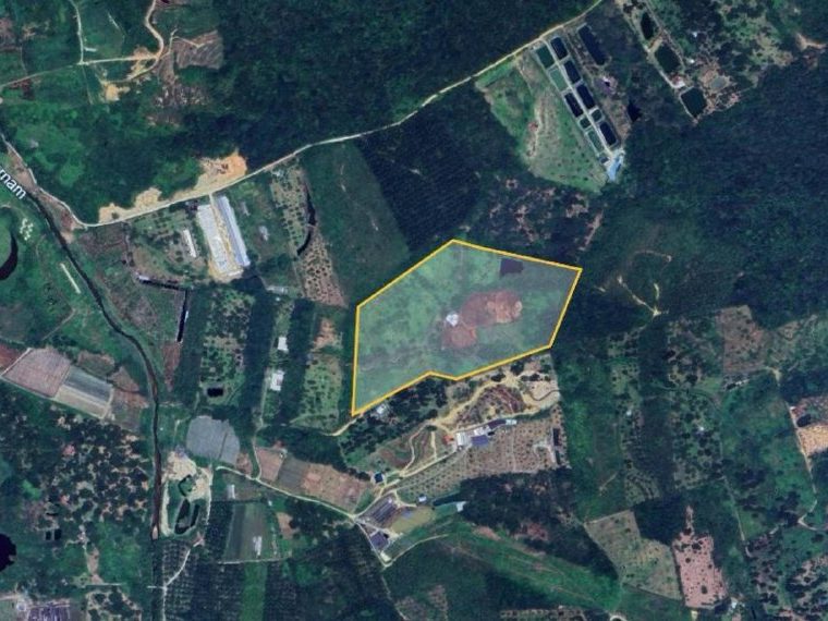 Tanah Pertanian 12 Ekar Freehold Di Kolumpang, Hulu Selangor