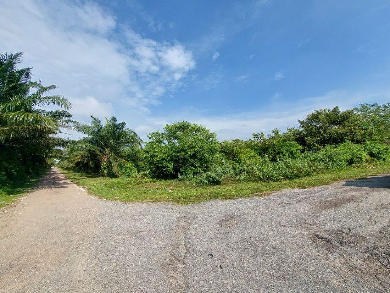 Tanah Pertanian Jalan Tailong, Kampung Hulu Chuchoh, Sg Pelek, Sepang