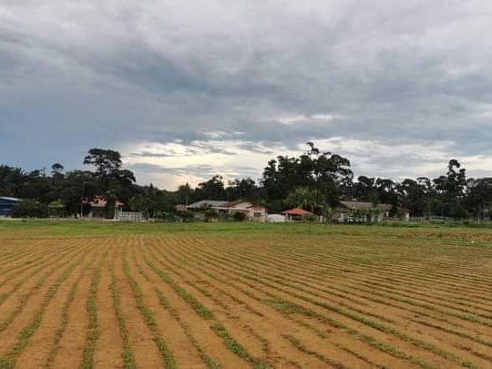 Tanah Industri 4.77 Ekar Kampung Batu 10 Labu, Seremban, Negeri Sembilan