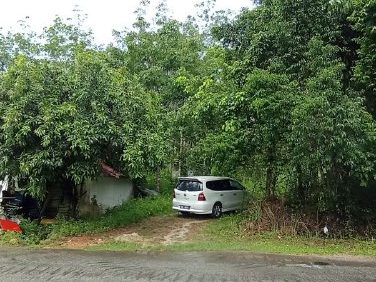Tanah Pertanian 3.25 Ekar Bukit Selambau, Kuala Muda, Kedah