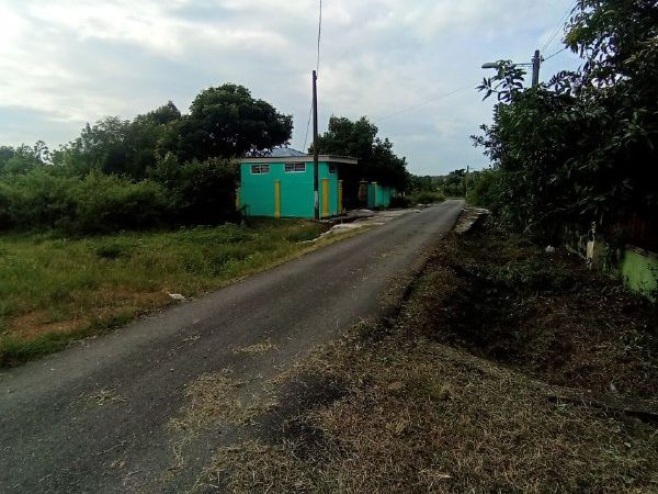 Tanah 1.13 Ekar Beserta Banglo Geran Individu Pokok Sena Kedah
