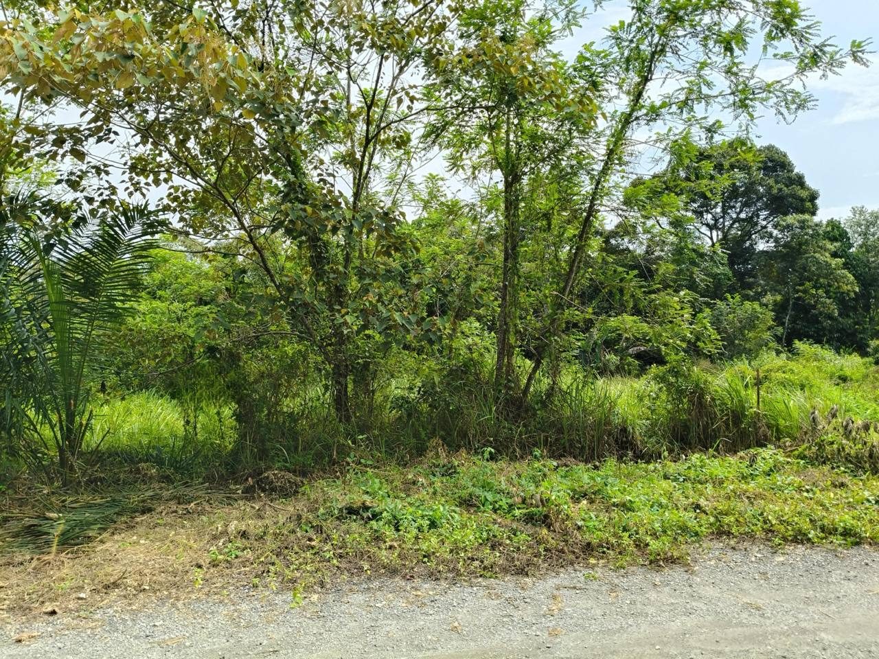 Tanah Lot Kediaman Jenderam Hulu Dengkil Selangor 4876 Sqft