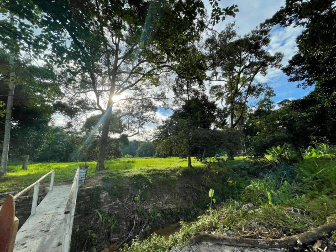 Tanah Untuk Dijual Kg Sg Lalang Semenyih Selangor 3 Ekar Freehold