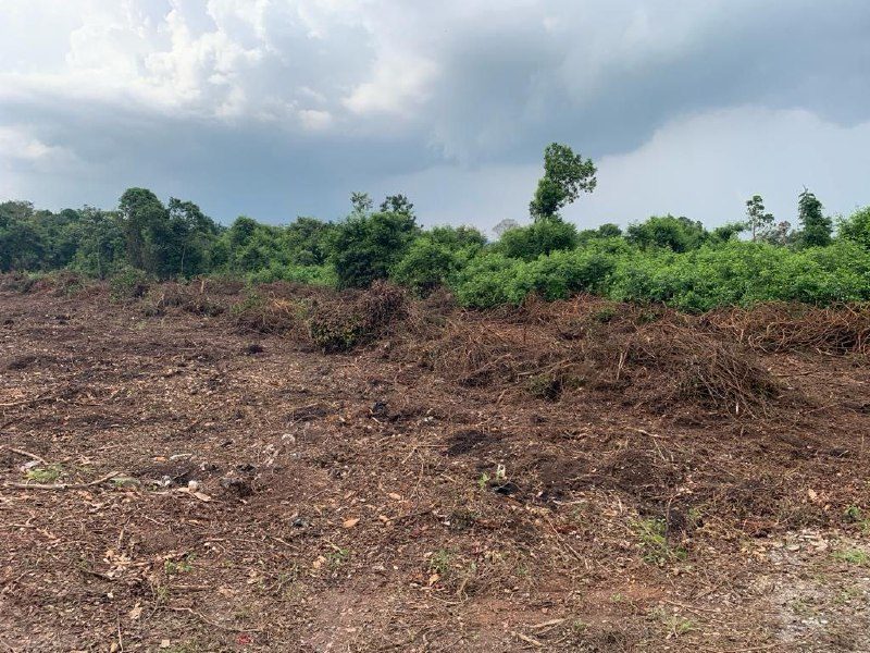 Tanah Pertanian di Kg Pak Dollah Kamunting utk Dijual