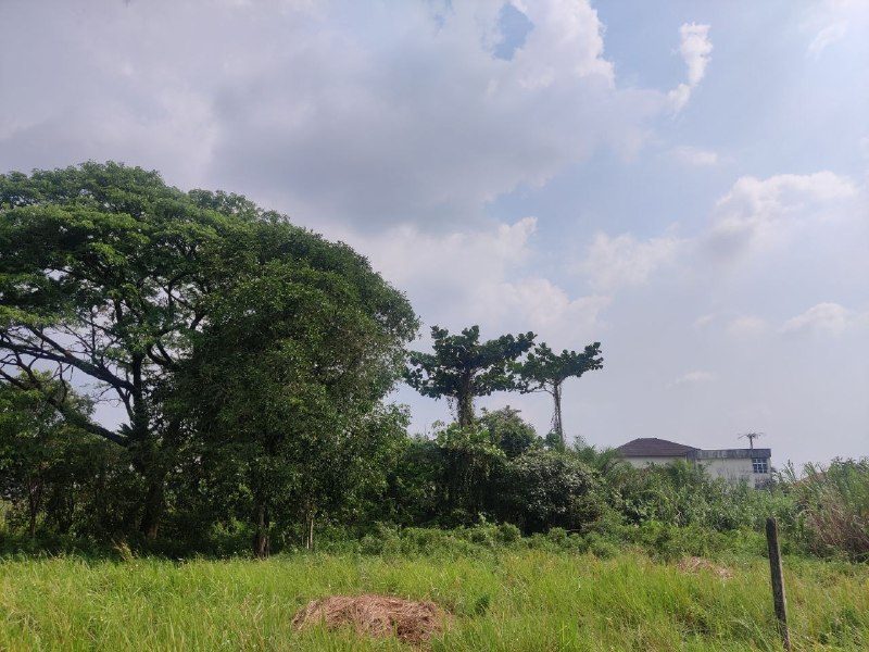 Tanah Lot RKT Aulong Lama utk Dijual