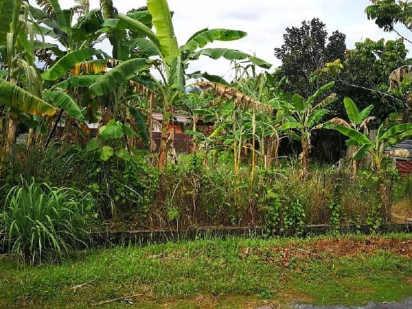 Tanah Lot Paduka Setia Kg Boyan utk Dijual